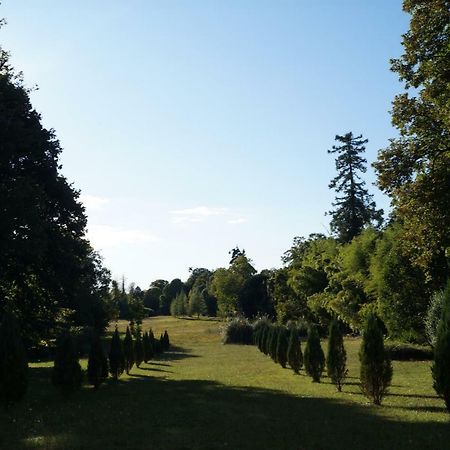 Chateau Le Parc De Mirambeau Hotel Мирамбо Екстериор снимка