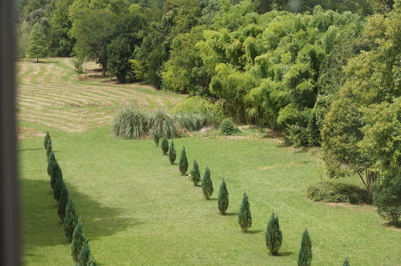 Chateau Le Parc De Mirambeau Hotel Мирамбо Екстериор снимка