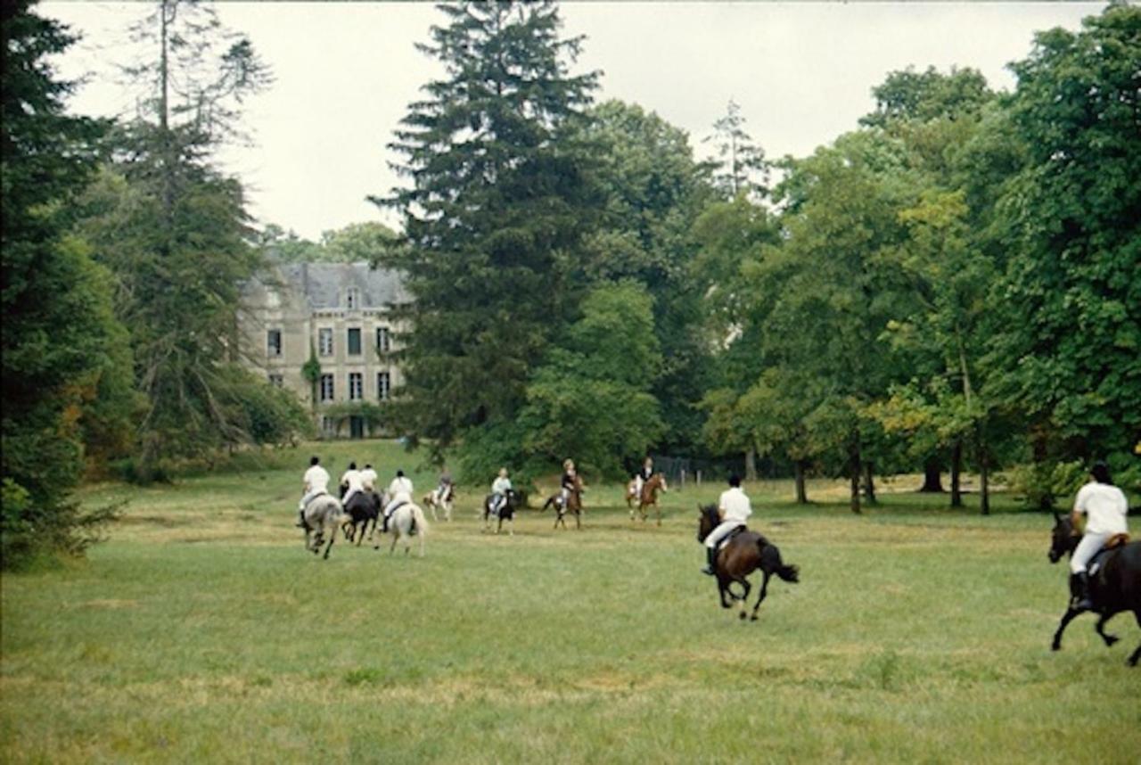 Chateau Le Parc De Mirambeau Hotel Мирамбо Екстериор снимка